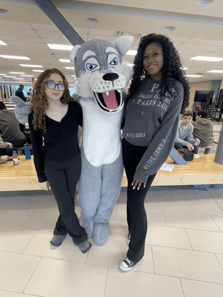 La mascotte fait du basketball